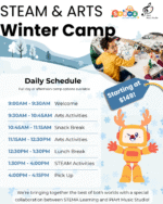 Winter camp-STEM camp